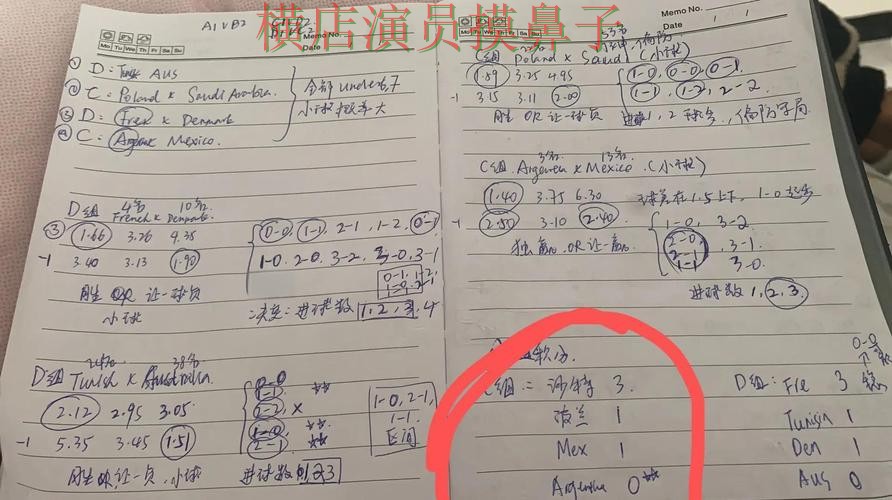 世界杯全球总决赛背景下的世界杯投注网站大全整理与用户反馈直播解析