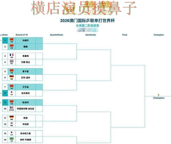 世界杯投注平台实测对比合集：覆盖官网直达+直播与入口方式 - 世界杯全球总决赛